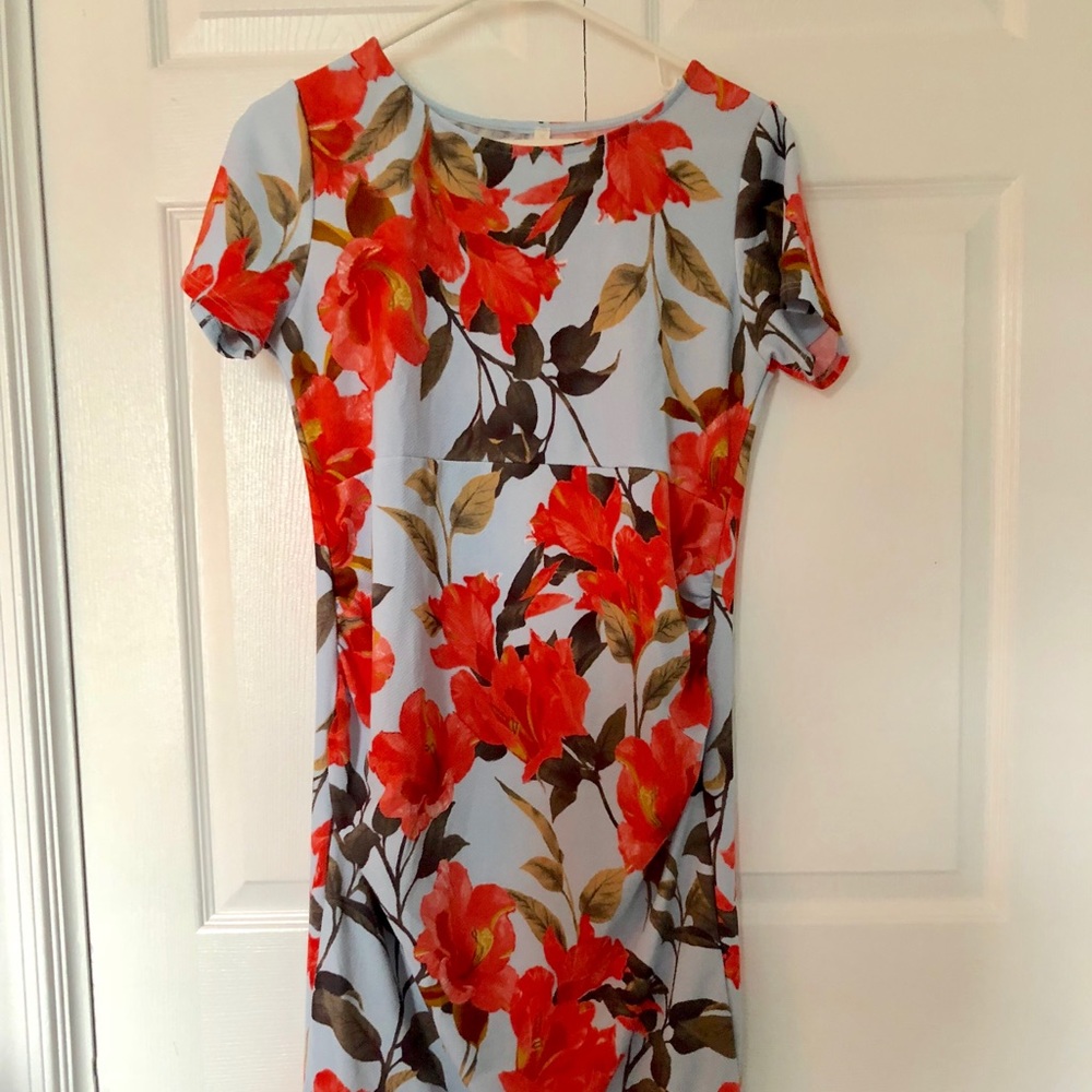 PinkBlush Fitted Maternity Dress